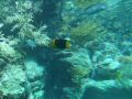 DSCF3447.JPG