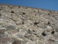 DSC05672.JPG