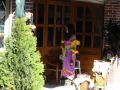 DSC05699.JPG