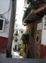 DSC05837.JPG