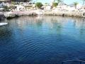 DSC06154.JPG