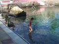 DSCF2543.JPG