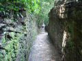 DSC06734.JPG