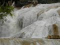 DSC06785.JPG
