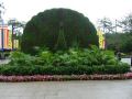 DSCF5938.jpg