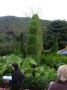 DSCF5939.jpg