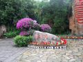 DSCF5960.jpg