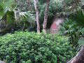 DSCF5965.jpg