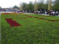 DSCF6030.jpg