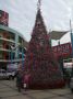 DSCF6179.jpg