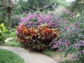 DSCF6220.jpg