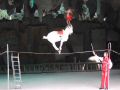 DSCF6247.jpg