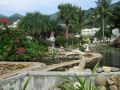 DSCF6296.jpg