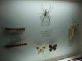 DSCF6300.jpg