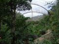 DSCF6315.jpg