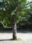 DSCF6400.jpg