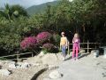 DSCF6417.jpg