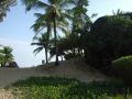 DSCF6429.jpg