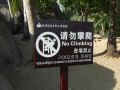 DSCF6431.jpg