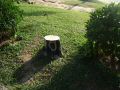 DSCF6438.jpg