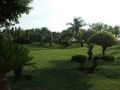 DSCF6442.jpg