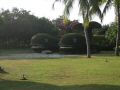 DSCF6448.jpg