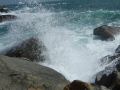 DSCF6470.jpg