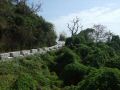 DSCF6479.jpg