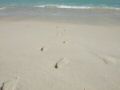 DSCF6521.jpg