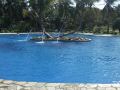 DSCF6541.jpg