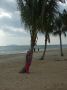 DSCF6594.jpg