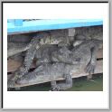 DSCF0722.JPG